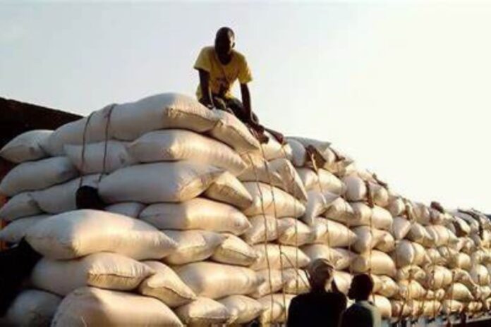 Bénin agricole