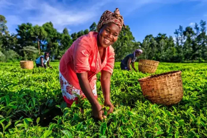 Bénin Projet de loi de finances 2025 agricole