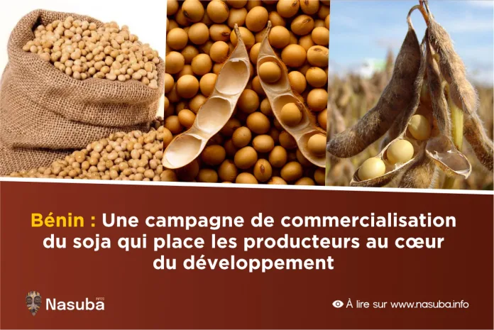 Bénin campagne soja producteurs développement agricole