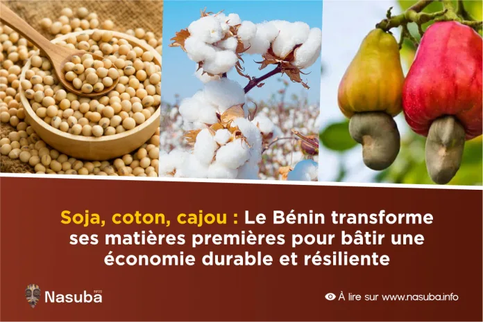 Bénin soja coton cajou