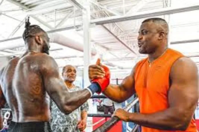 Boxe Francis Ngannou Deontay Wilder