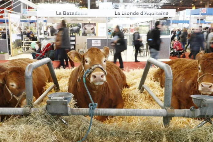 France salon international de l'agriculture Paris