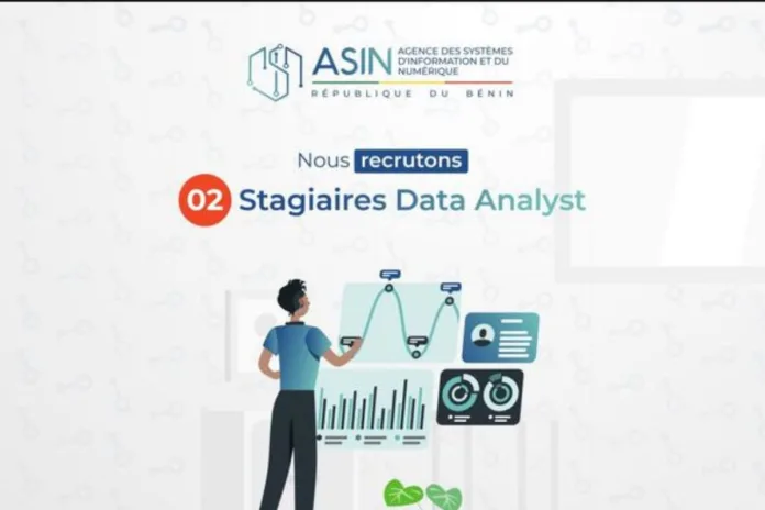 Bénin ASIN recrute Data Analyst