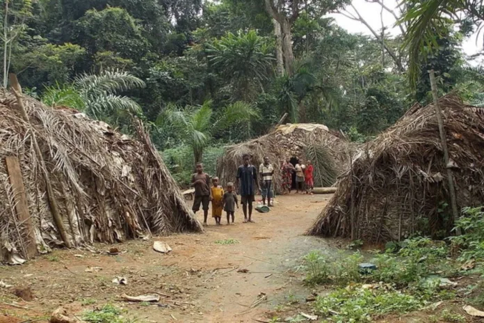 Cameroun macabre découverte fosse commune