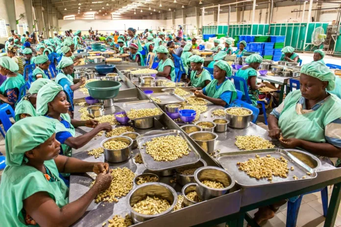 Bénin Zone industrielle de Glo-Djigbé coton cajou soja